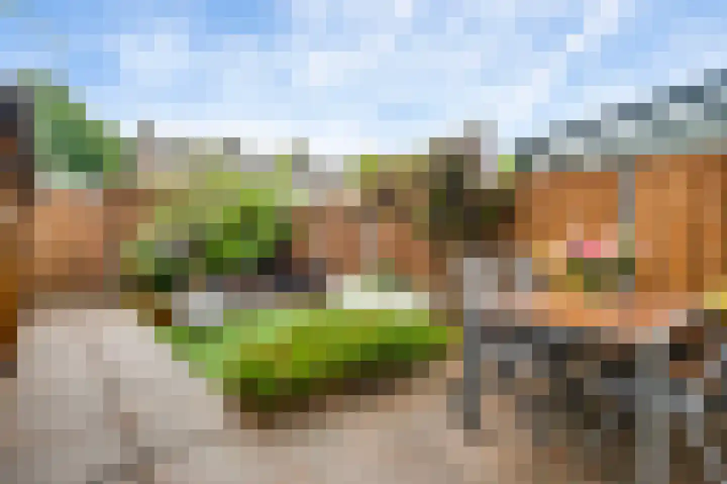 Luikstraat 34 Weert thumbnail 4