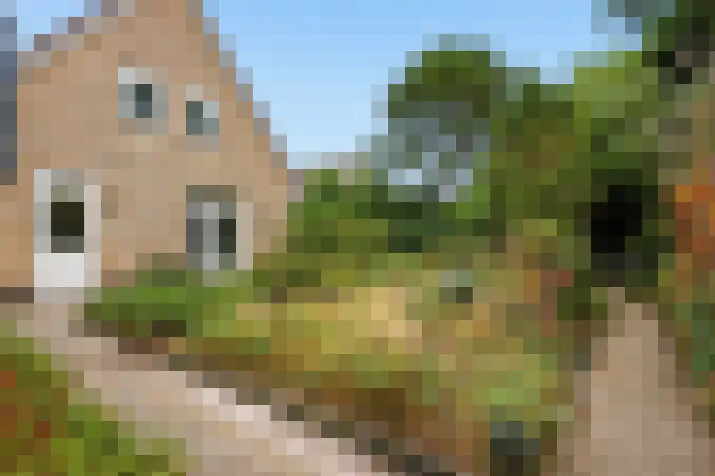 Luilaantje 27 Egmond-Binnen thumbnail 28