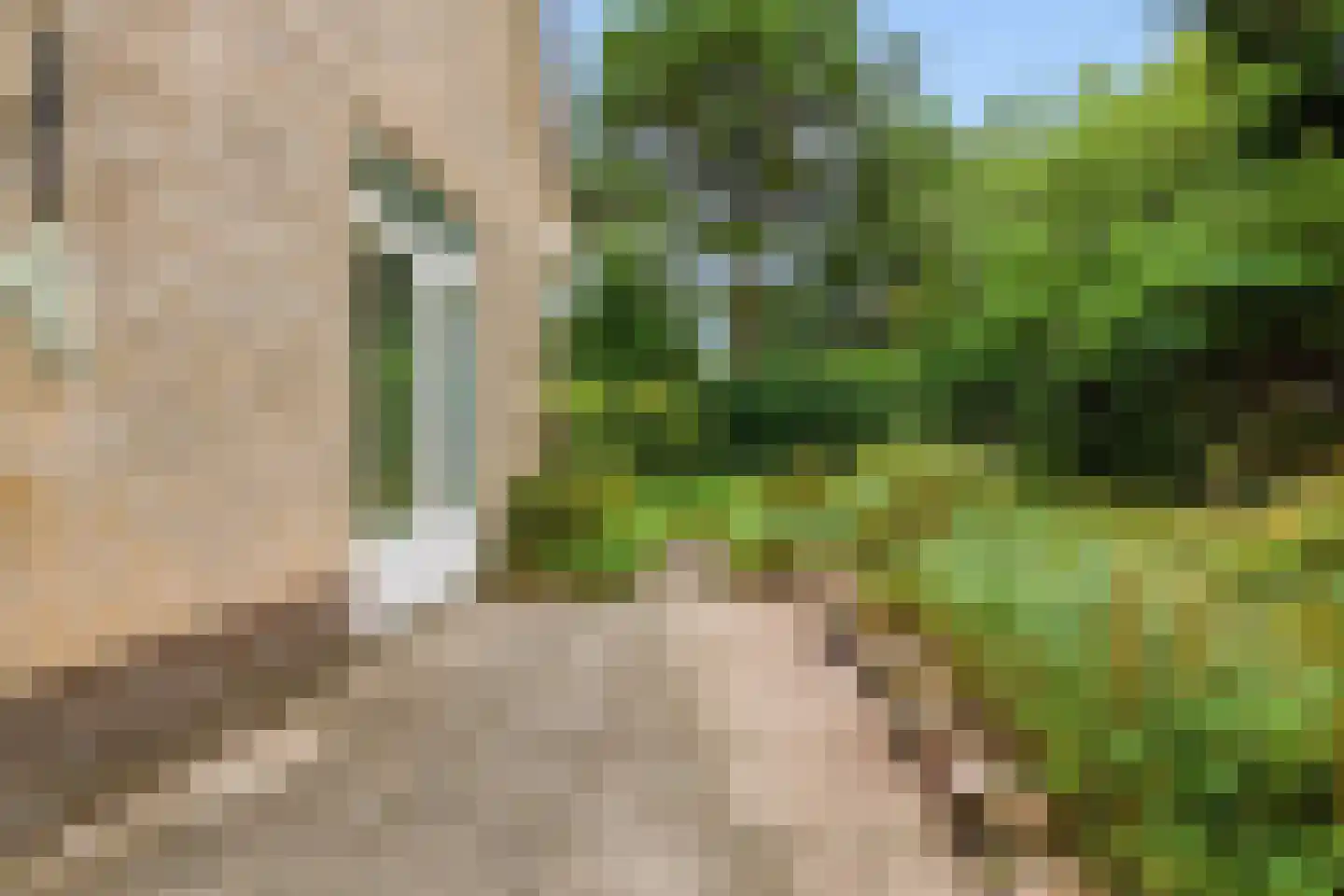 Luilaantje 27 Egmond-Binnen thumbnail 29