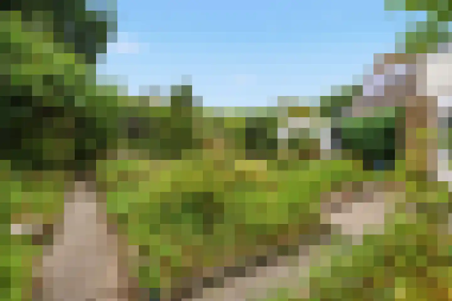 Luilaantje 27 Egmond-Binnen thumbnail 30