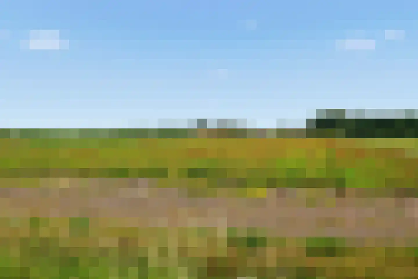 Luilaantje 27 Egmond-Binnen thumbnail 36