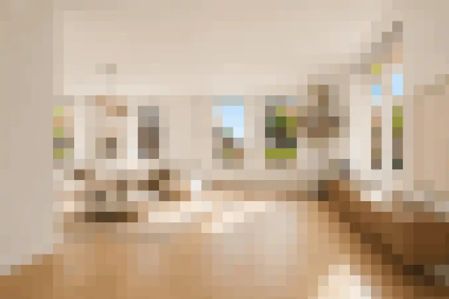 Luilaantje 27 Egmond-Binnen thumbnail 4