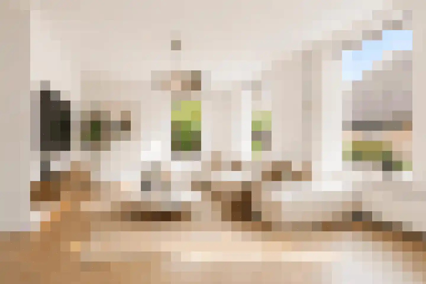 Luilaantje 27 Egmond-Binnen thumbnail 6