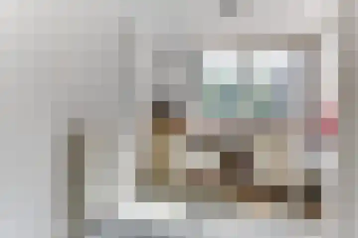 Luilaantje 9 Egmond-Binnen thumbnail 11