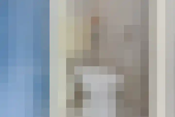 Luilaantje 9 Egmond-Binnen thumbnail 12