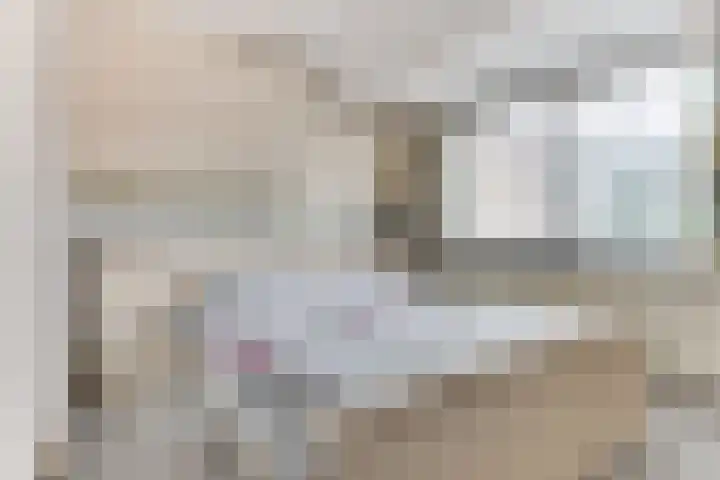 Luilaantje 9 Egmond-Binnen thumbnail 13