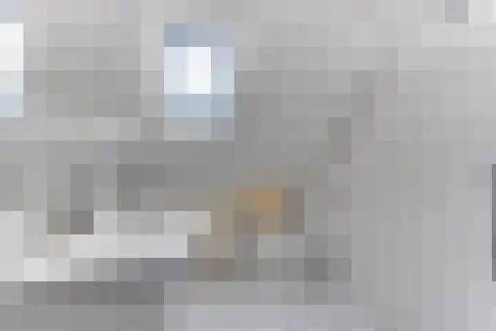 Luilaantje 9 Egmond-Binnen thumbnail 16