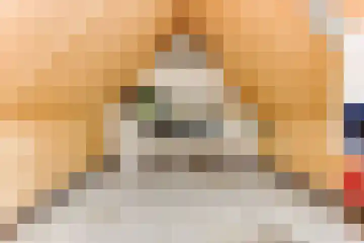 Luilaantje 9 Egmond-Binnen thumbnail 18