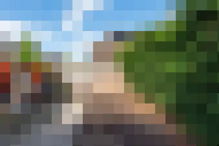 Luilaantje 9 Egmond-Binnen thumbnail 19