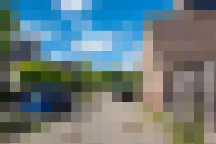 Luilaantje 9 Egmond-Binnen thumbnail 20
