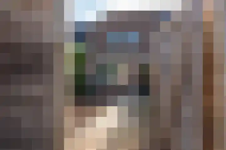 Luilaantje 9 Egmond-Binnen thumbnail 22