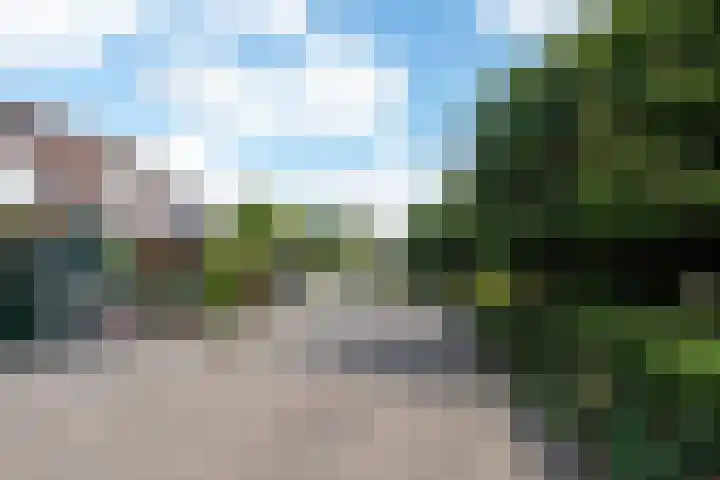Luilaantje 9 Egmond-Binnen thumbnail 23