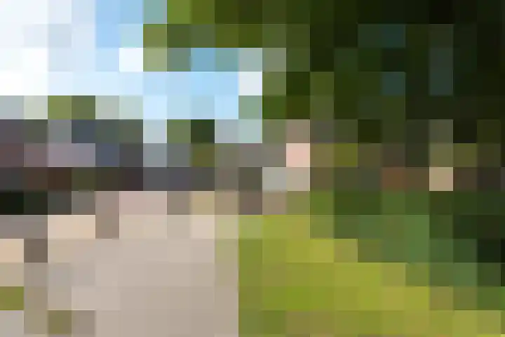 Luilaantje 9 Egmond-Binnen thumbnail 25