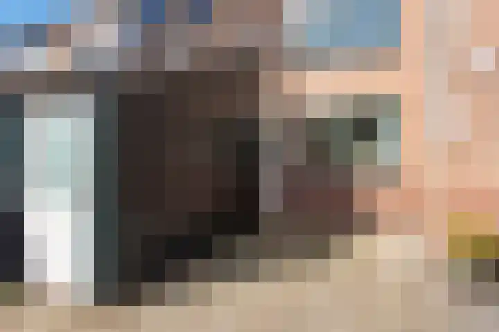 Luilaantje 9 Egmond-Binnen thumbnail 26