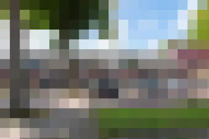 Luilaantje 9 Egmond-Binnen thumbnail 27