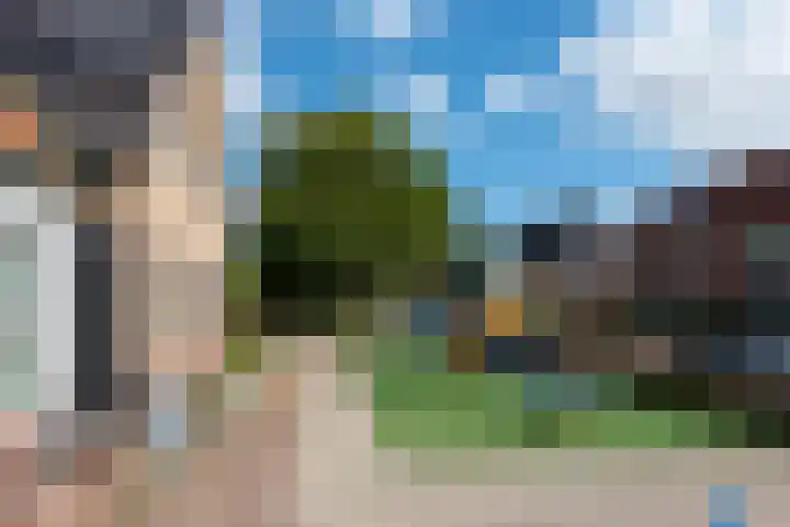 Luilaantje 9 Egmond-Binnen thumbnail 28