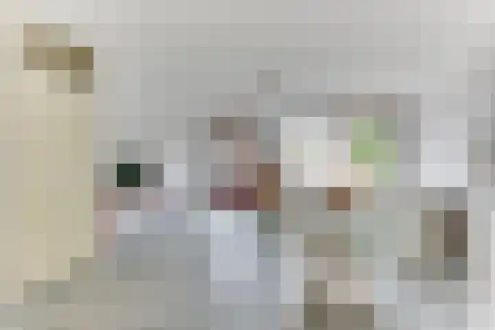 Luilaantje 9 Egmond-Binnen thumbnail 4