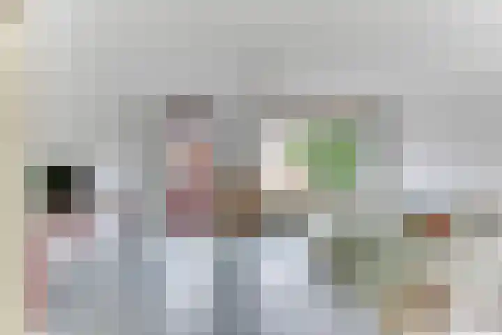 Luilaantje 9 Egmond-Binnen thumbnail 5