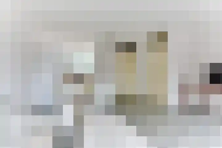 Luilaantje 9 Egmond-Binnen thumbnail 8