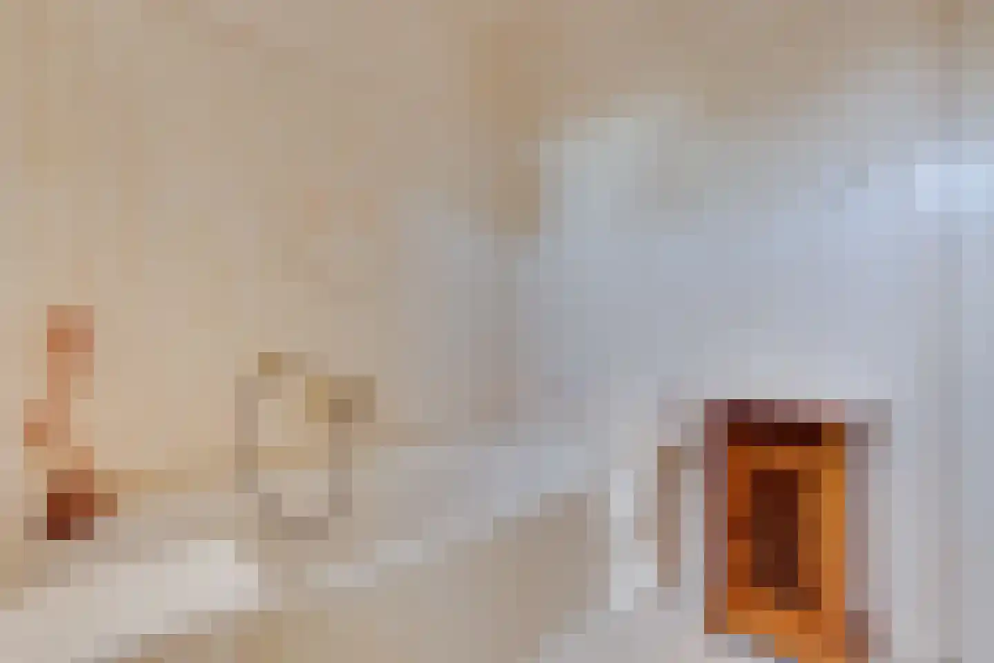 Luimesweg 20 Breedenbroek thumbnail 19