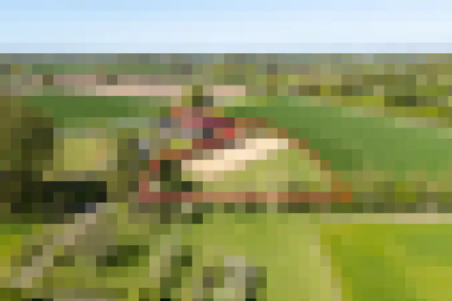 Luimesweg 20 Breedenbroek foto 2