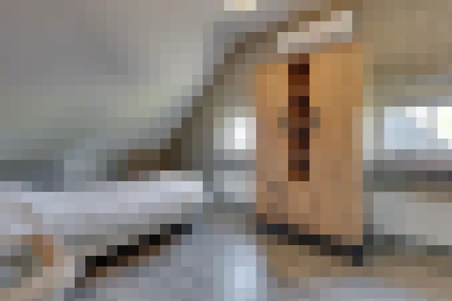 Luimesweg 20 Breedenbroek thumbnail 22