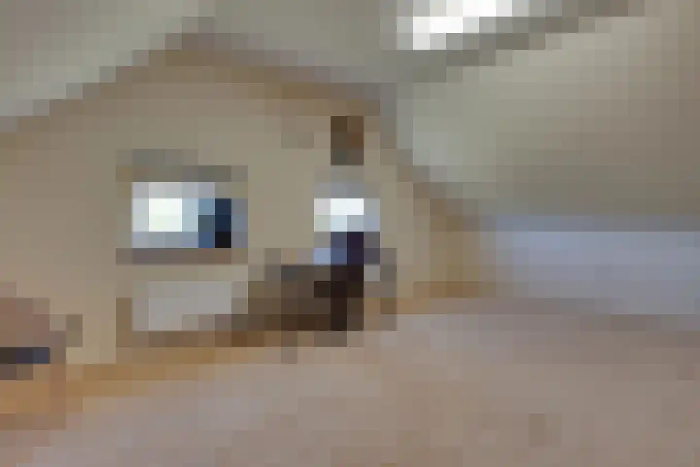 Luimesweg 20 Breedenbroek thumbnail 24