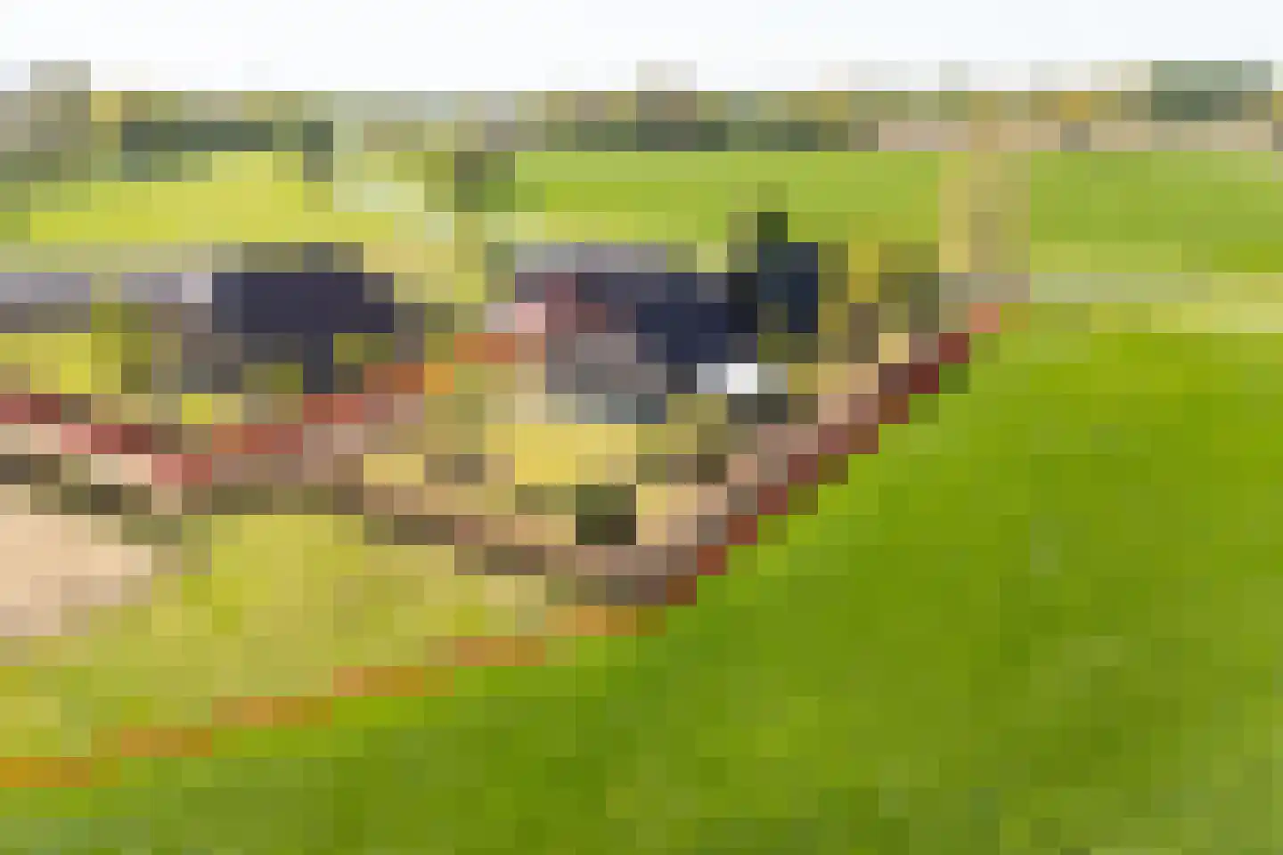 Luimesweg 20 Breedenbroek thumbnail 4
