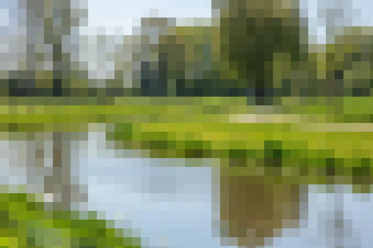 Luimesweg 20 Breedenbroek thumbnail 42