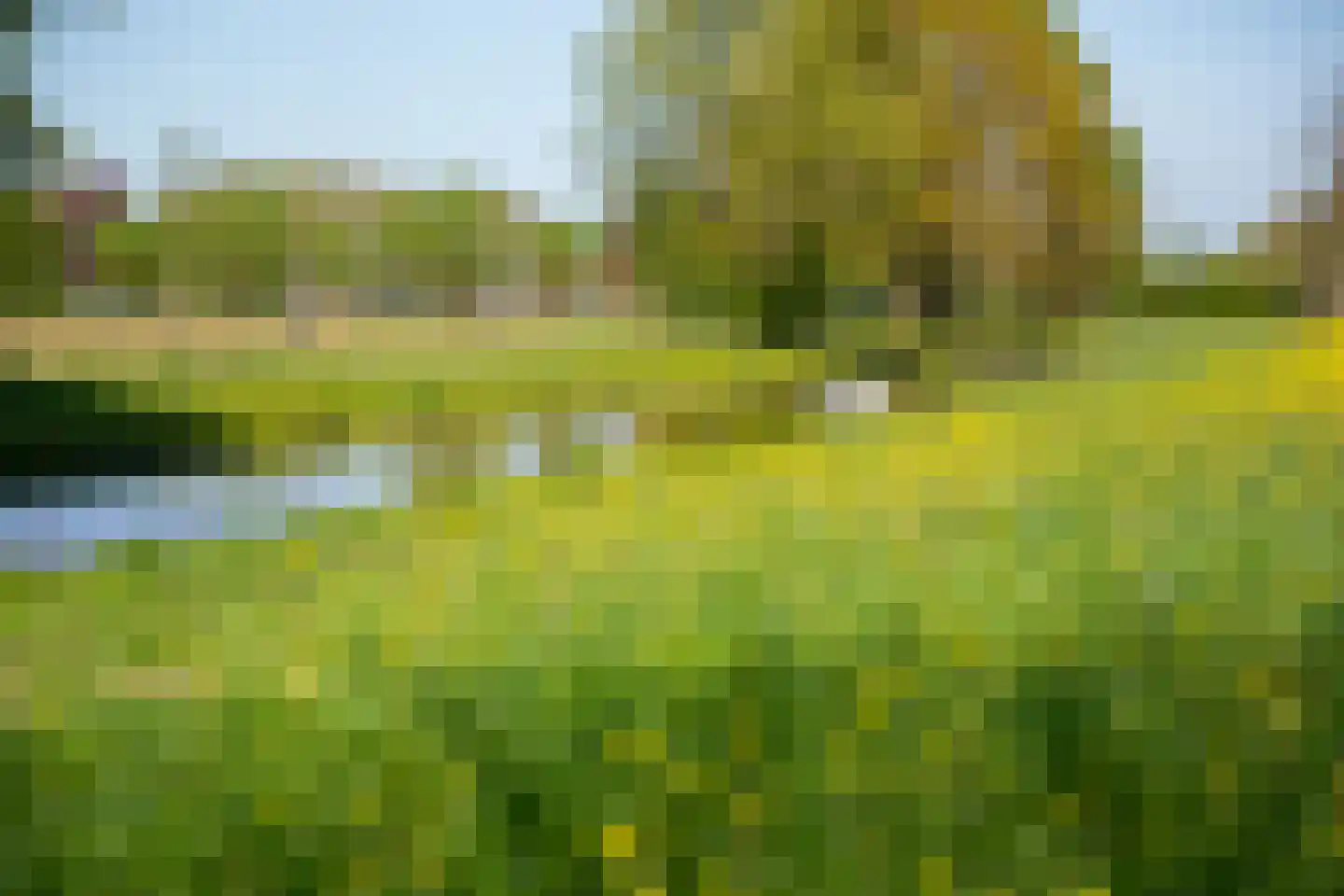 Luimesweg 20 Breedenbroek thumbnail 43