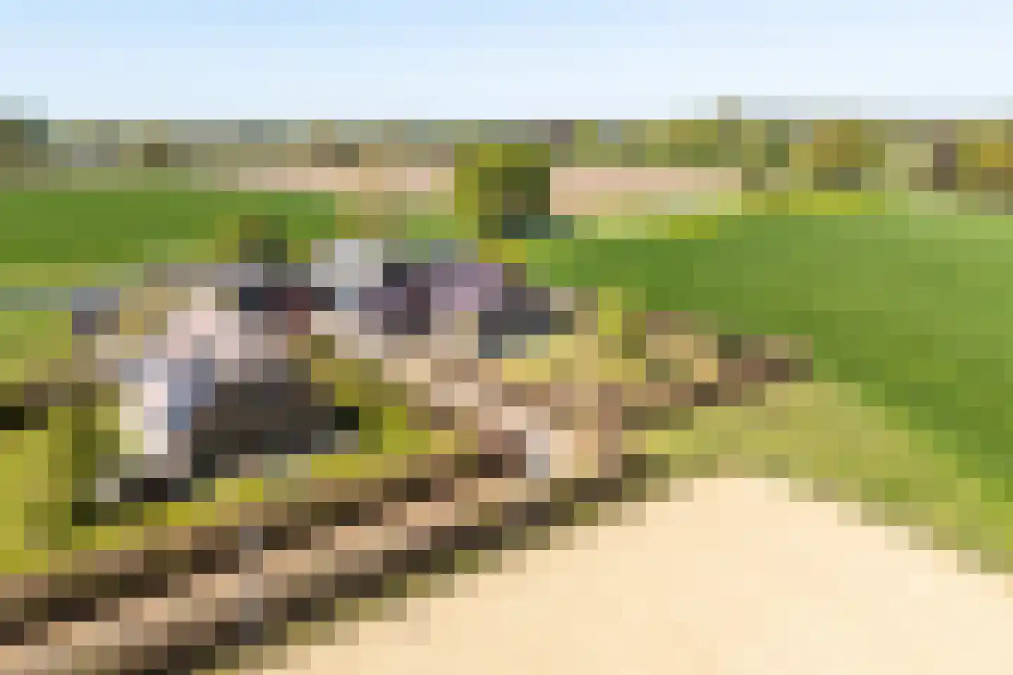 Luimesweg 20 Breedenbroek thumbnail 44