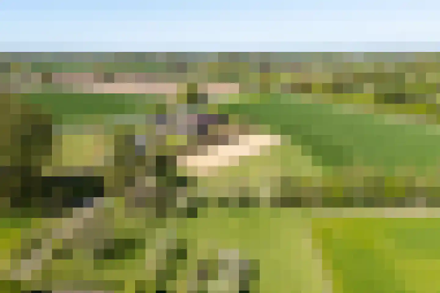 Luimesweg 20 Breedenbroek thumbnail 45