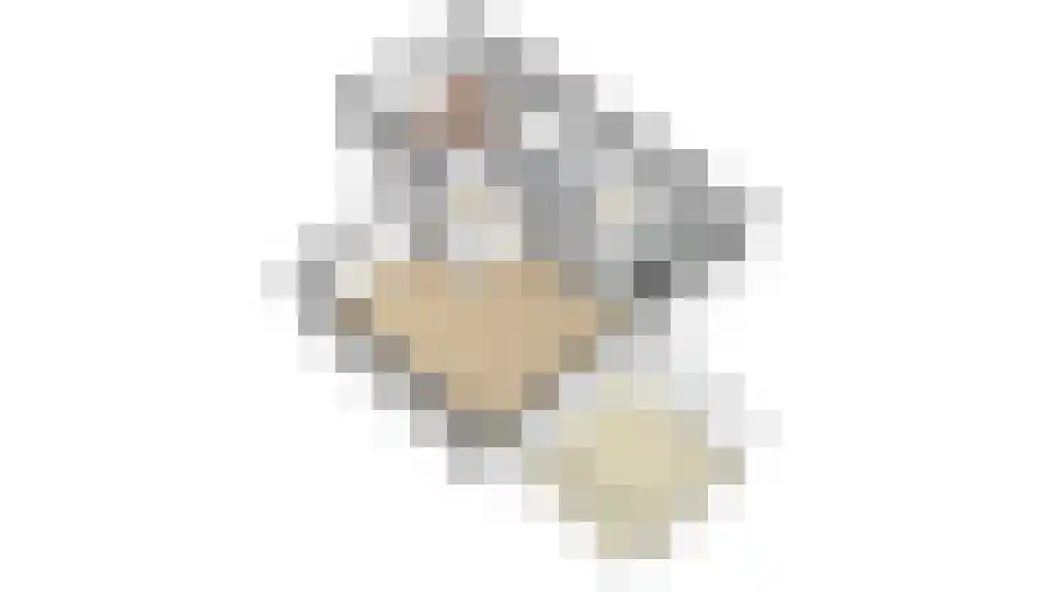 Luimesweg 20 Breedenbroek thumbnail 49