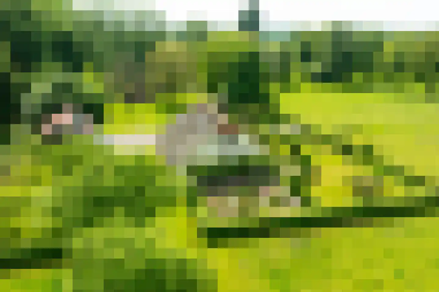 Luimesweg 7 in Breedenbroek