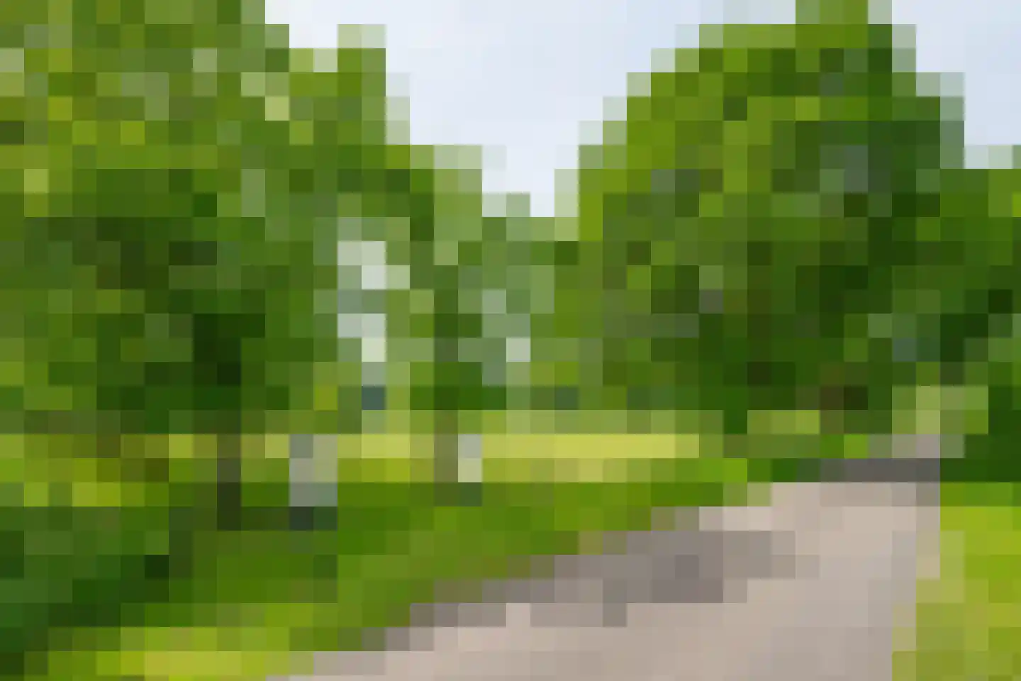 Luimesweg 7 Breedenbroek thumbnail 12