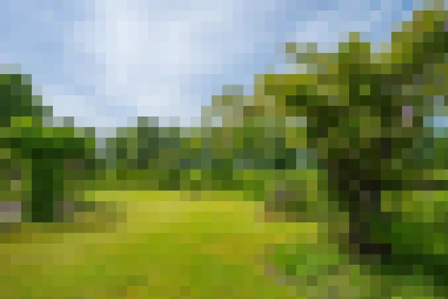 Luimesweg 7 Breedenbroek thumbnail 14