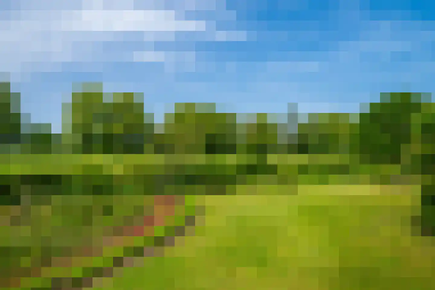 Luimesweg 7 Breedenbroek thumbnail 15