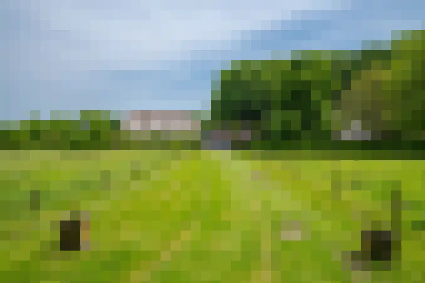 Luimesweg 7 Breedenbroek thumbnail 22