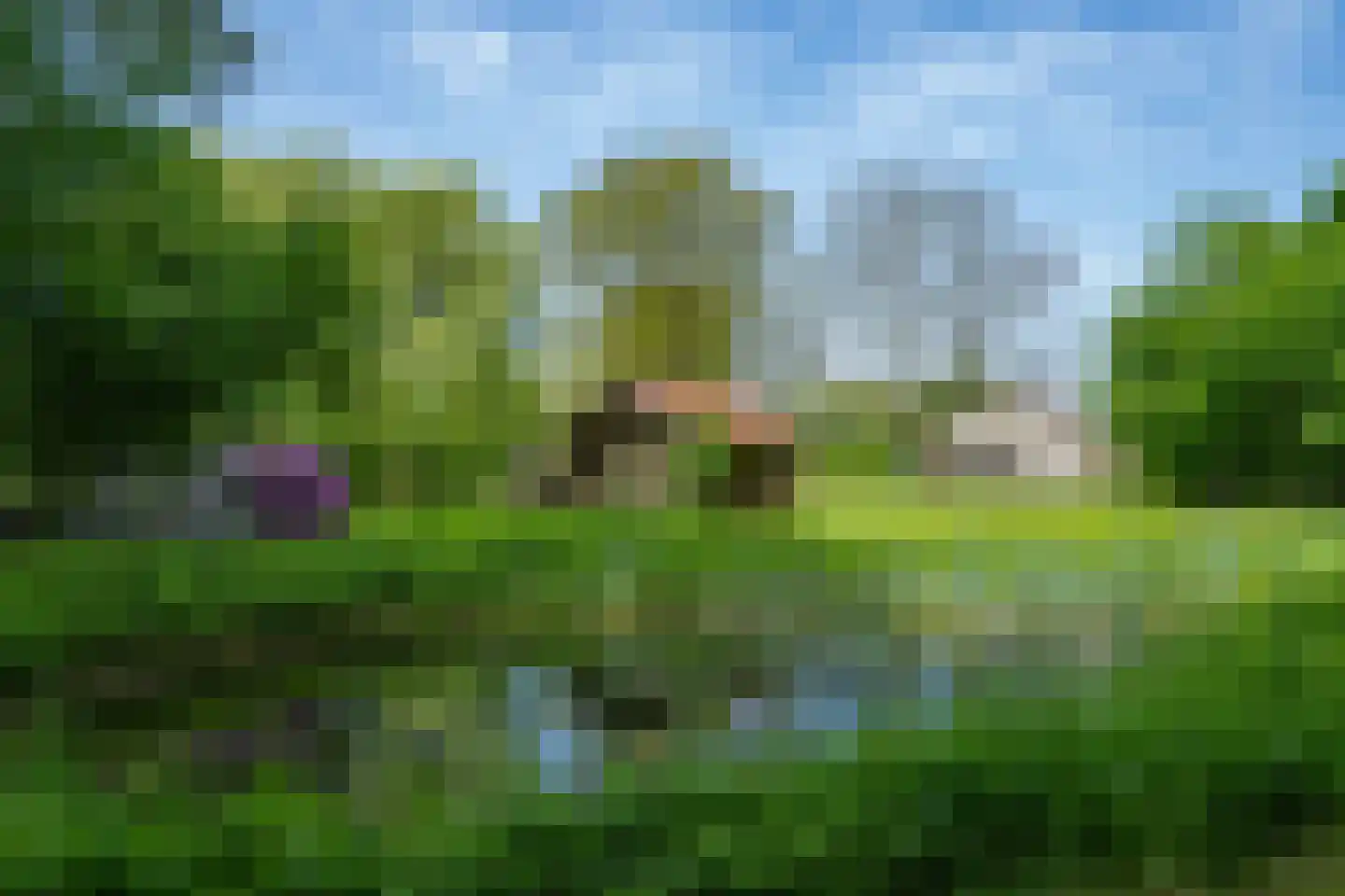 Luimesweg 7 Breedenbroek thumbnail 30