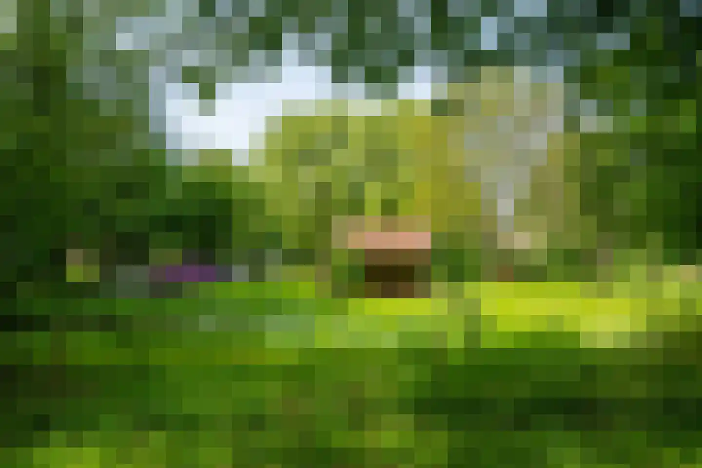 Luimesweg 7 Breedenbroek thumbnail 31