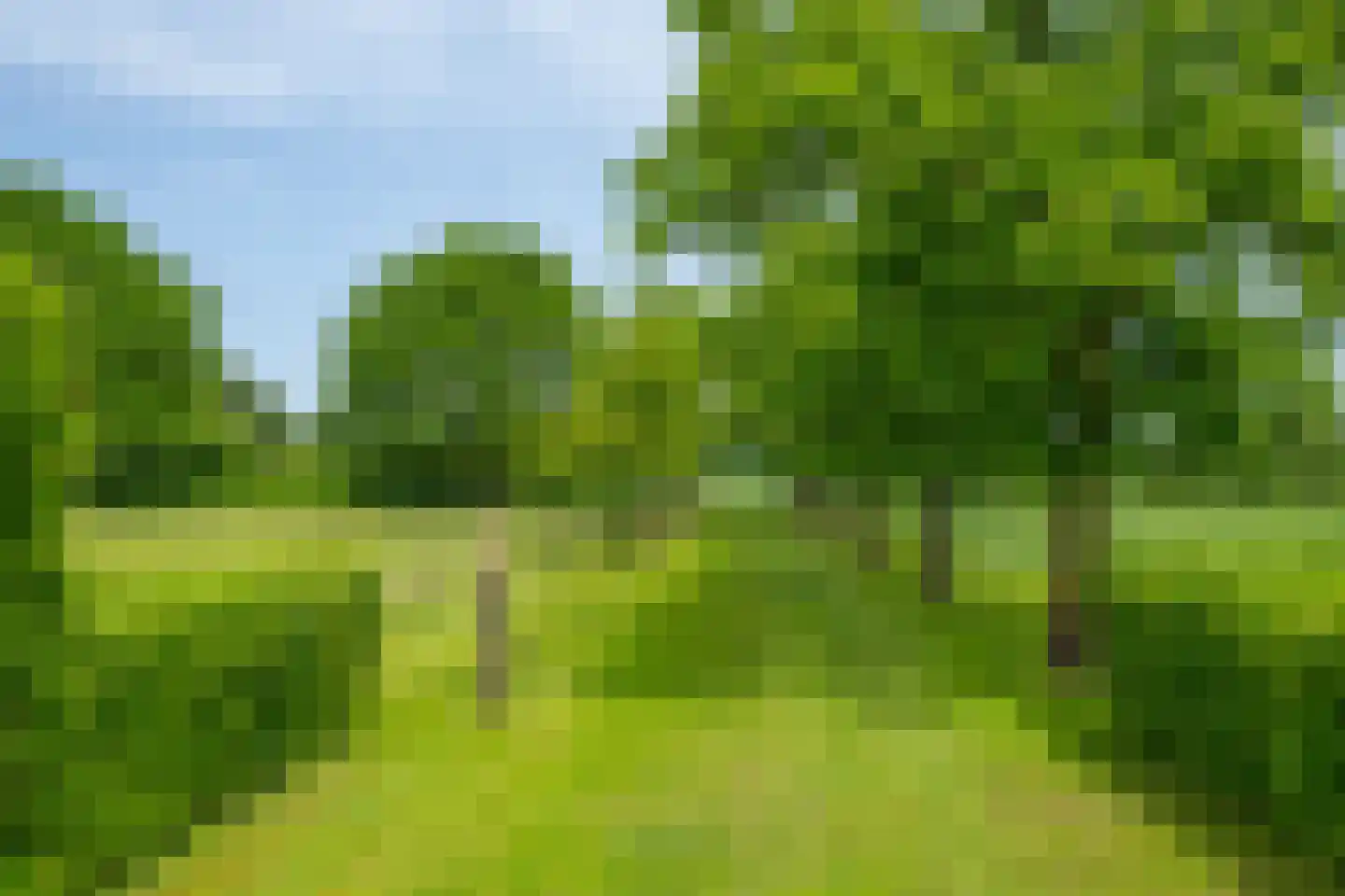 Luimesweg 7 Breedenbroek thumbnail 34