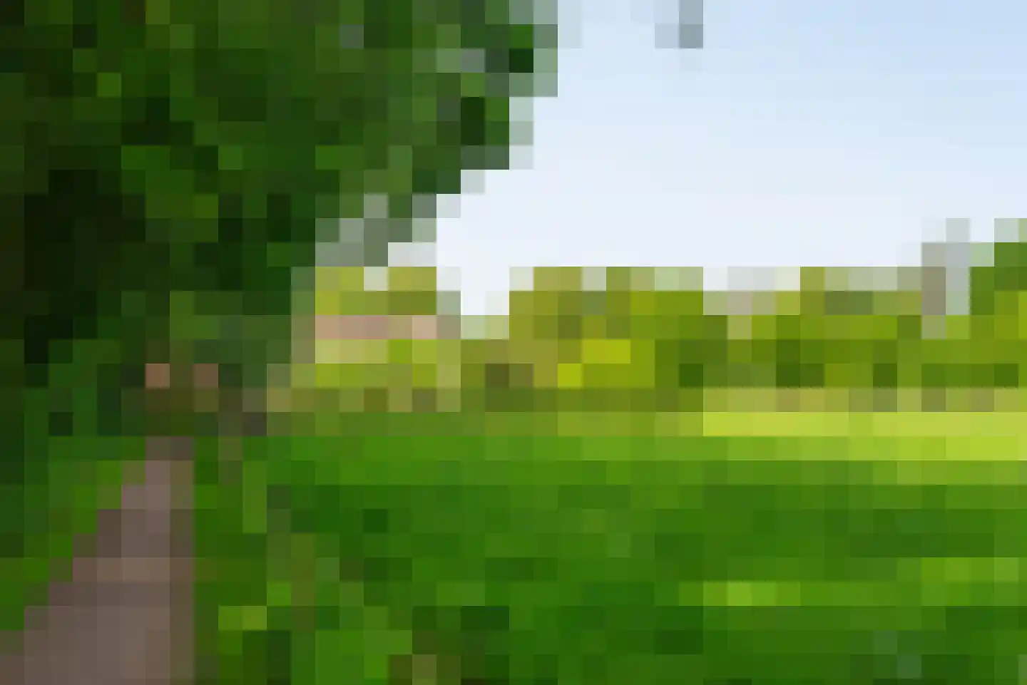 Luimesweg 7 Breedenbroek thumbnail 35