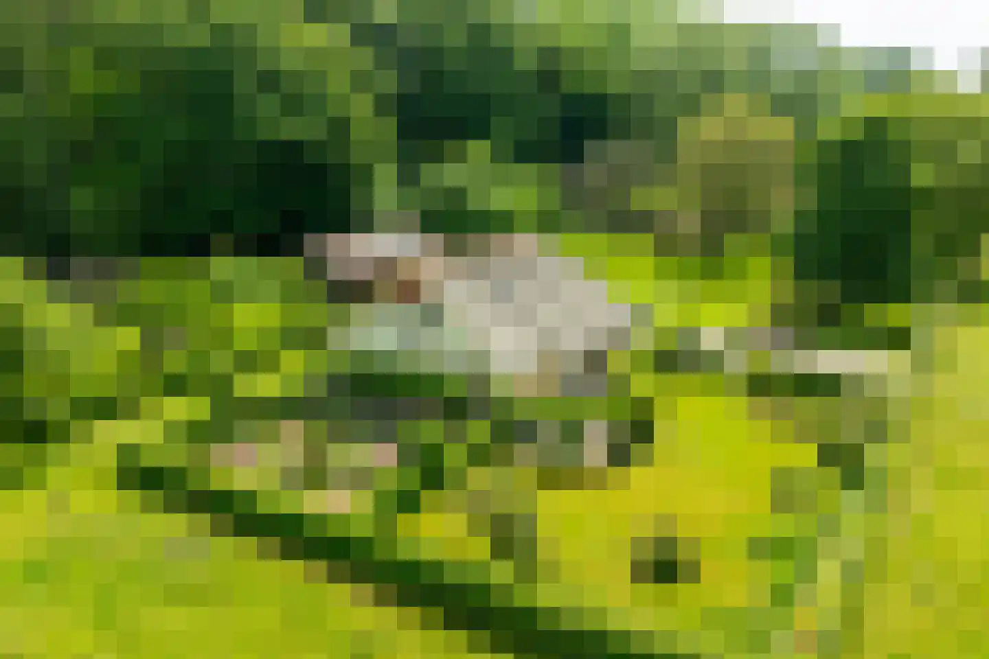 Luimesweg 7 Breedenbroek thumbnail 5