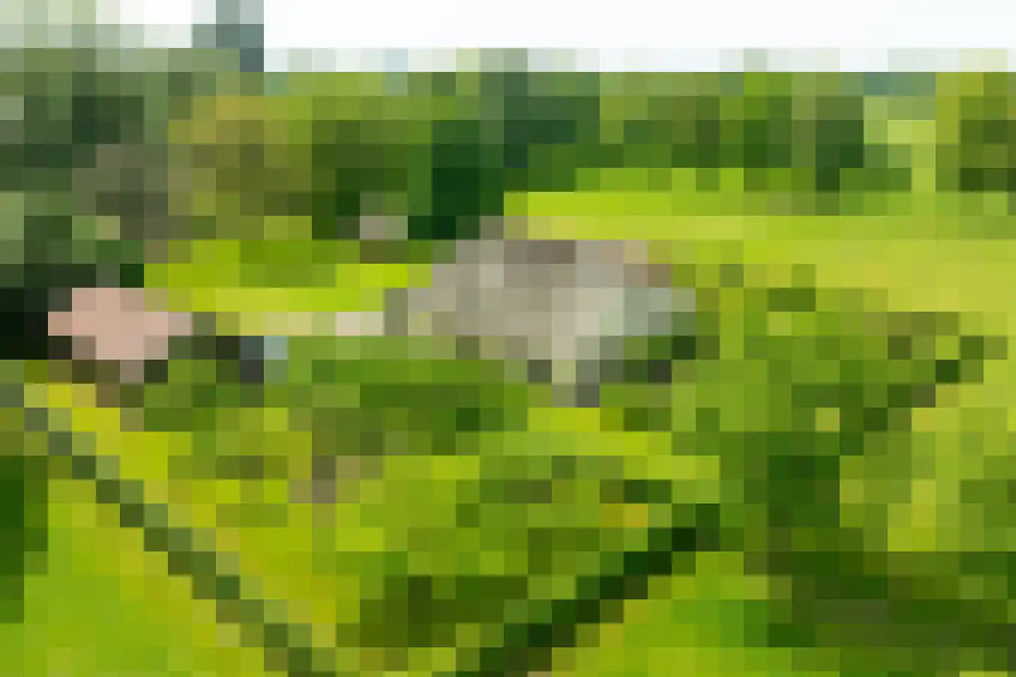 Luimesweg 7 Breedenbroek thumbnail 6