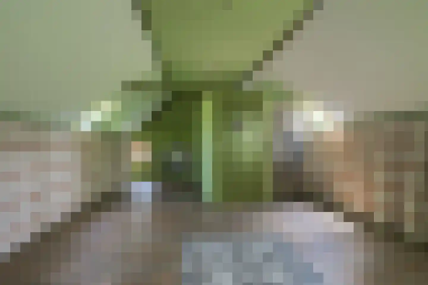 Luimesweg 7 Breedenbroek thumbnail 64