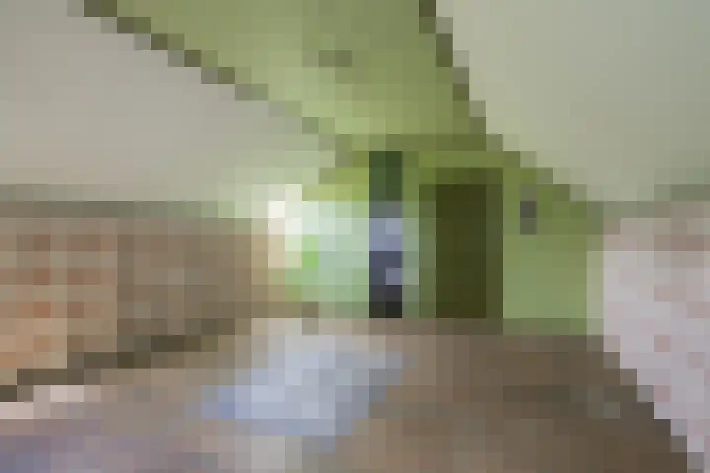 Luimesweg 7 Breedenbroek thumbnail 65