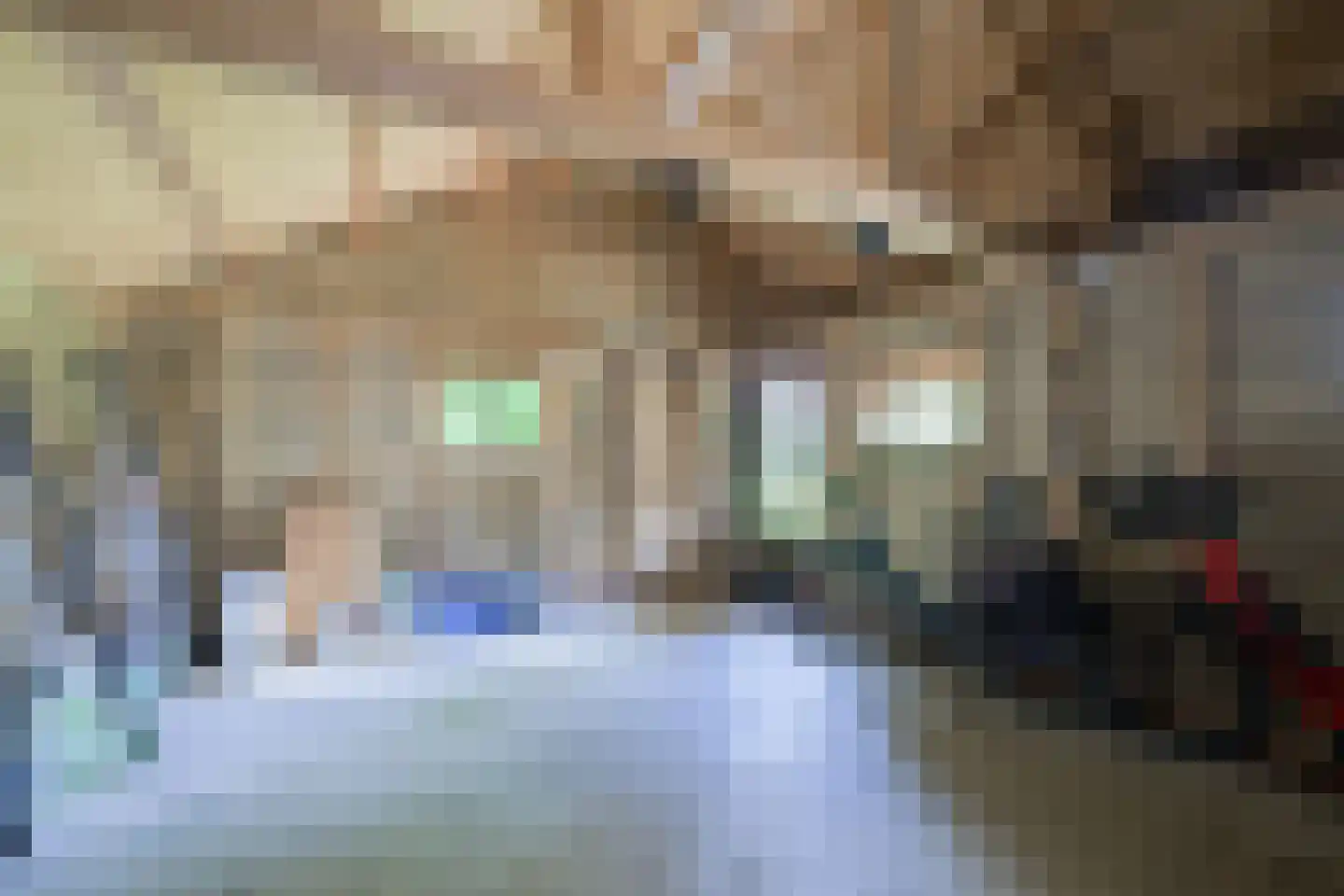 Luimesweg 7 Breedenbroek thumbnail 72
