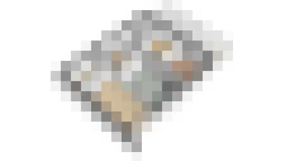 Luimesweg 7 Breedenbroek thumbnail 74