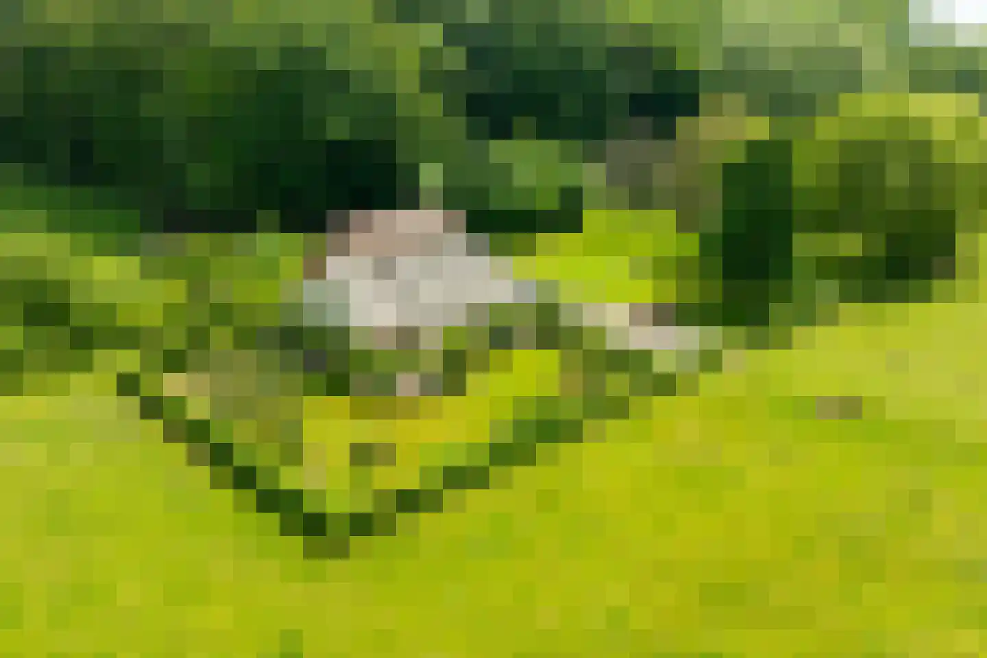 Luimesweg 7 Breedenbroek thumbnail 8