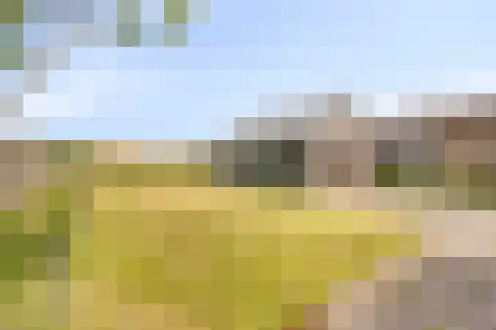 Luinbeekweg 6 Vortum-Mullem thumbnail 18